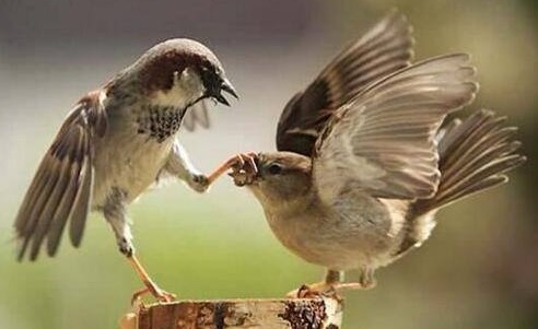 Business communication skills