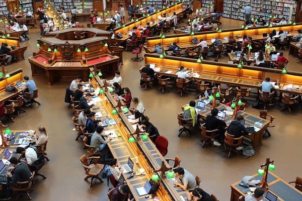 How international student exchange programs work?