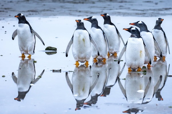 How to stand out as an over-represented MBA applicant