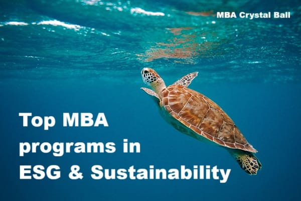Top MBA programs for ESG & sustainability